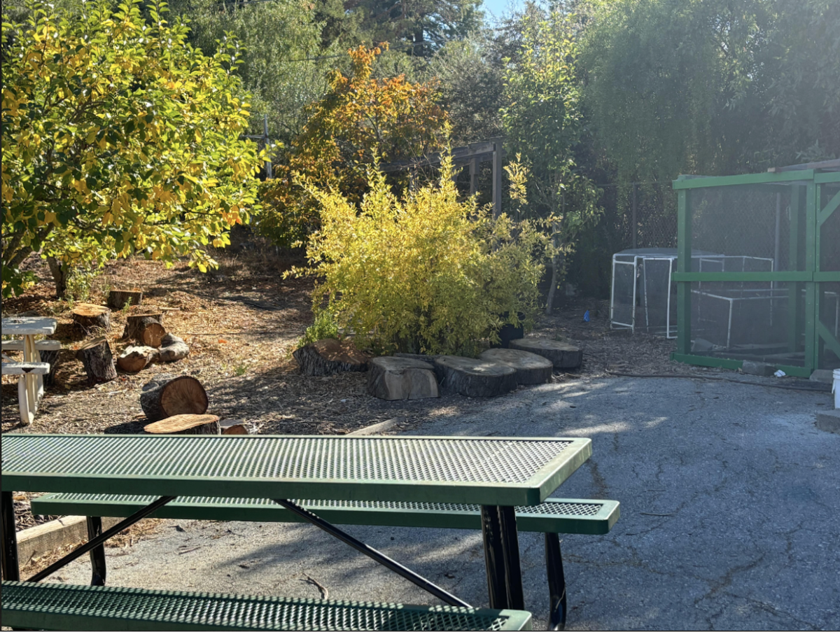 The Green Academy garden has tables where the students can meet and collaborate.